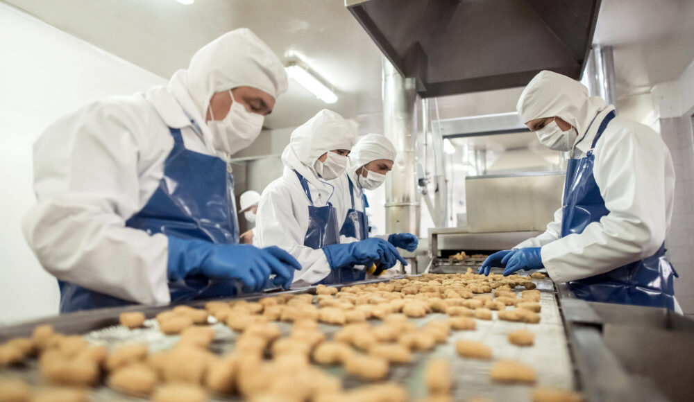 Creating a Safe and Hygienic Food Processing Environment